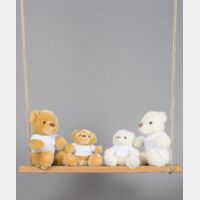 Bear in a t-shirt Thumbnail