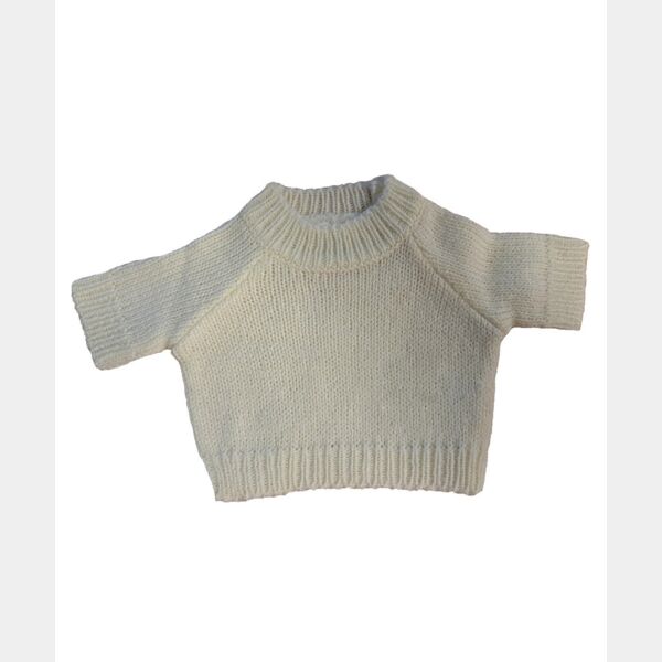 Teddy jumper Thumbnail