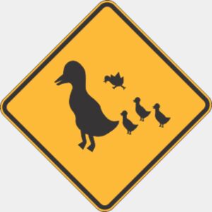 duck crossing Thumbnail