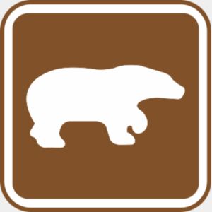 bear Thumbnail