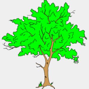 tree Thumbnail