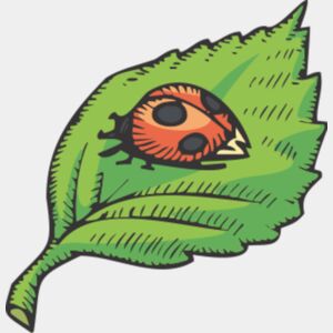spring ladybug leaf Thumbnail
