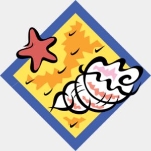 shell on beach Thumbnail