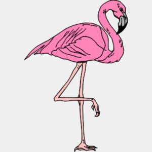 flamingo Thumbnail