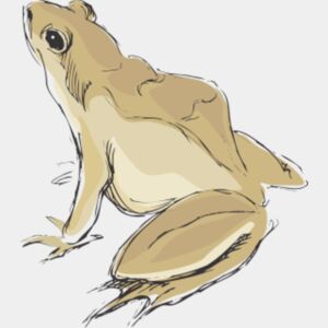 frog Thumbnail