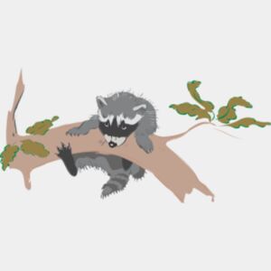racoon Thumbnail