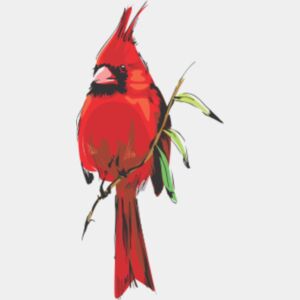 cardinal Thumbnail
