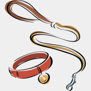 leash and collar Thumbnail