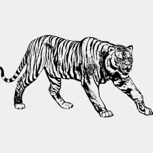 Tiger Thumbnail