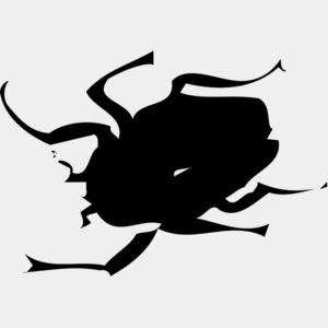 Beetle Thumbnail