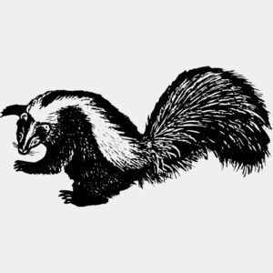 Skunk Thumbnail